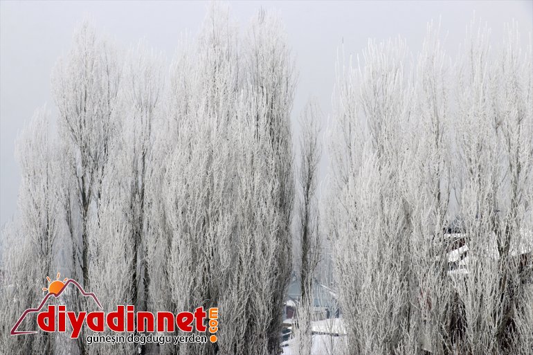 Termometreler Ağrı