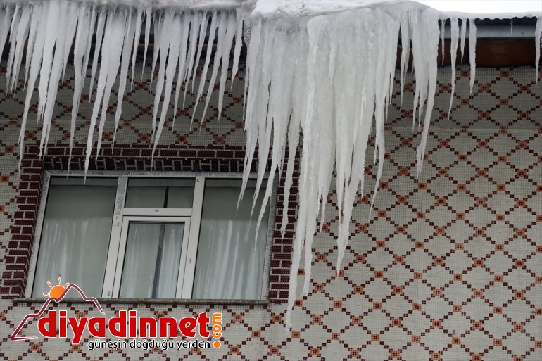 Termometreler Ağrı