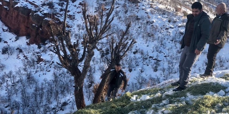 Tunceli'de geçen yıl kaçak avlanan 115 kişiye 777 bin 77 lira ceza uygulandı