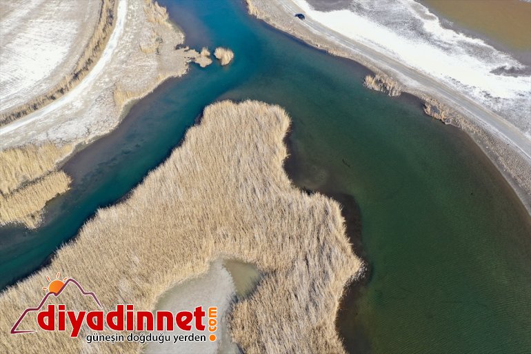 Yaban Parkı evi: Dağı zengini Milli flora Doğu