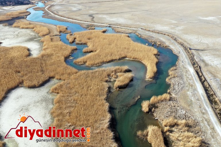 Yaban Parkı zengini Doğu