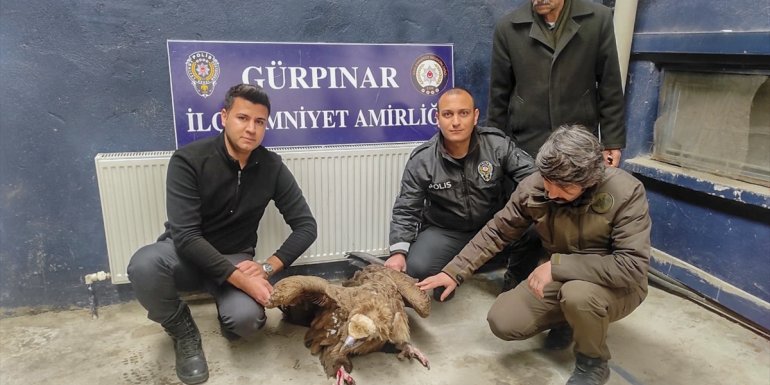 Yaralı akbabaya Gürpınar polisi sahip çıktı1