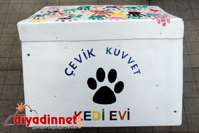 sahipsiz hayvanlar atık polis yuvaya için Ağrı