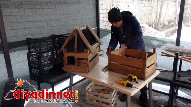 malzemeleri hayvanlar yuvaya görevli dönüştürdü sahipsiz atık Ağrı