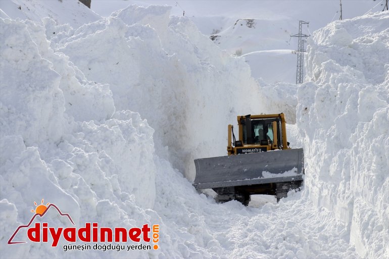 mücadele ediyor kaplanları - karla AĞRI 10 metrelik Kar 1