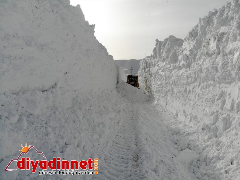 ediyor karla Kar - mücadele kaplanları AĞRI metrelik 10 6