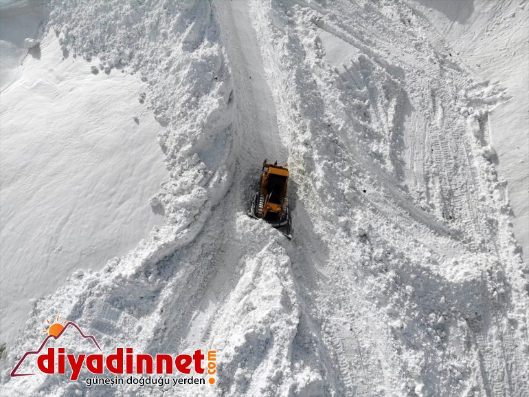 metrelik Kar AĞRI kaplanları mücadele - ediyor karla 10 10