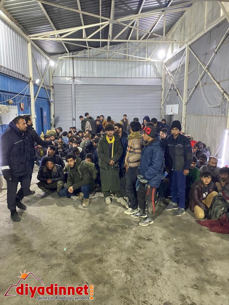 113 AĞRI Kereste göçmen yüklü - yakalandı düzensiz kamyonda 1