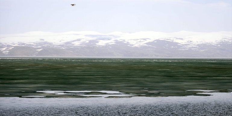 ARDAHAN - Çıldır Gölü