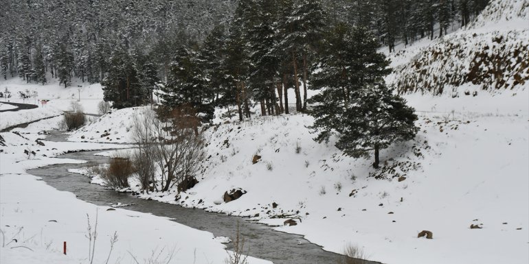 Ardahan'da kar, tipi ve sis ulaşımı aksatıyor