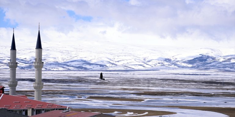 ARDAHAN - Kura Nehri sağanak ve eriyen kar sularıyla taştı1
