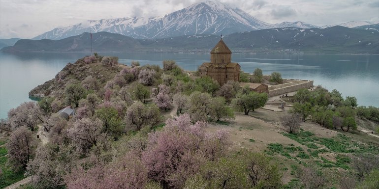 Baharın tonlarına bürünen Akdamar Adası Badem Çiçeği Festivaline hazır1