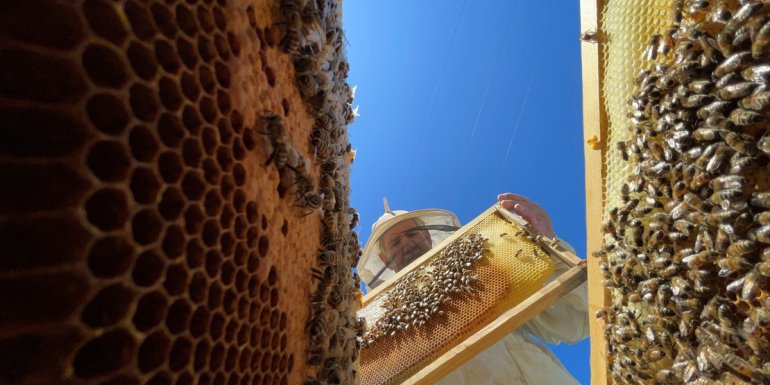 BİNGÖL - Akademik destek Bingöl balının üretim miktarını ve kalitesini artırdı1