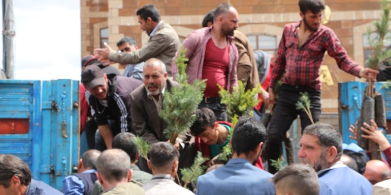 BİNGÖL - Vatandaşlara 10 bin fidan dağıtıldı1