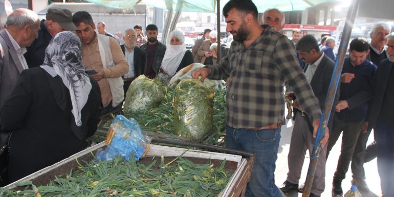 Dağdan topladıkları bitkileri satarak geçimlerini sağlıyorlar