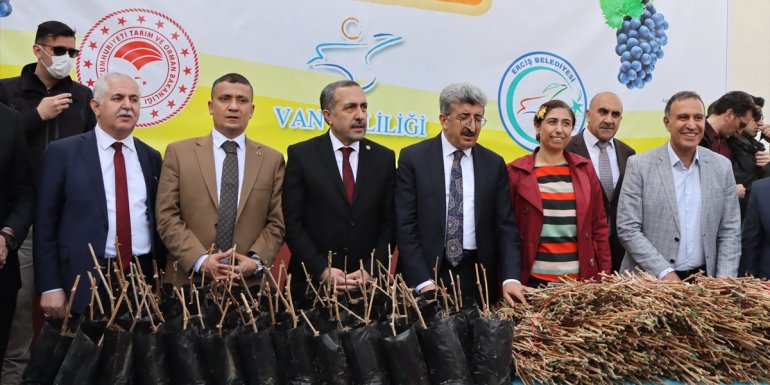 Erciş'te çiftçilere ücretsiz üzüm fidesi dağıtıldı