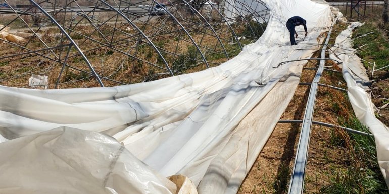 Gürpınar'da şiddetli rüzgar seraya zarar verdi