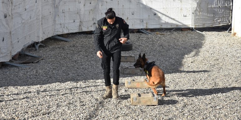 Hakkari'de narkotik dedektör köpekler polisin en büyük destekçisi oldu