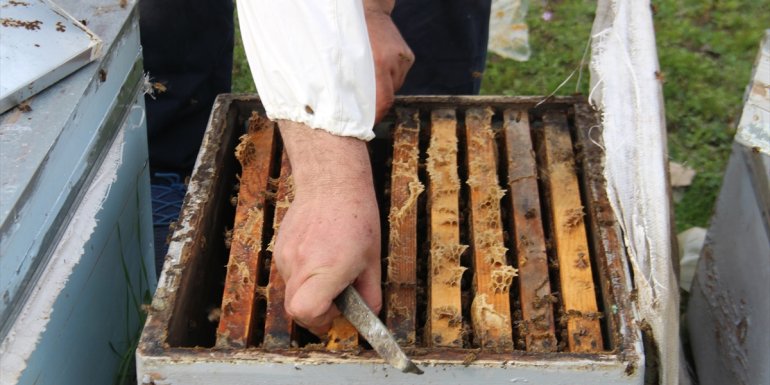 Derecik ve Şemdinli 50 bin arılı kovana ev sahipliği yapıyor