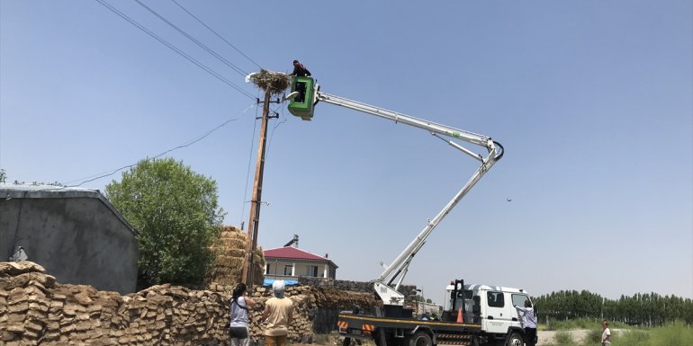 Iğdır'da halkalanan leylek göç ettiği Afrika'dan 3 yıl sonra geri döndü