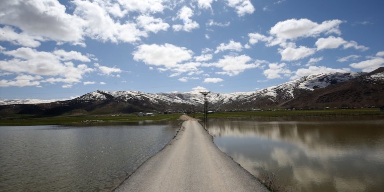 Karların erimesiyle Muş Ovası'ndaki bazı araziler suyla kaplandı