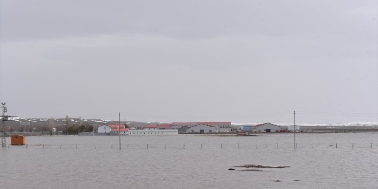 KARS - Karların erimesi nedeniyle 10 ev ve bazı ahırları su bastı1
