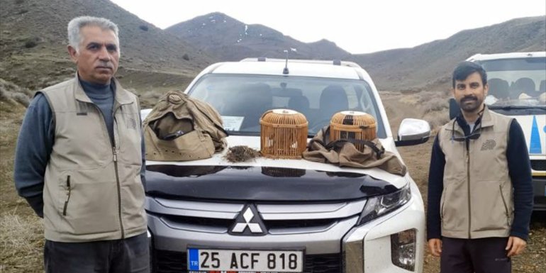 Kars'ta canlı mühre ile kaçak avlanan kişiye ceza kesildi