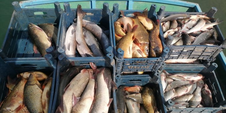 Malatya'da av yasağını ihlal eden balıkçılara 17 bin 823 lira ceza kesildi