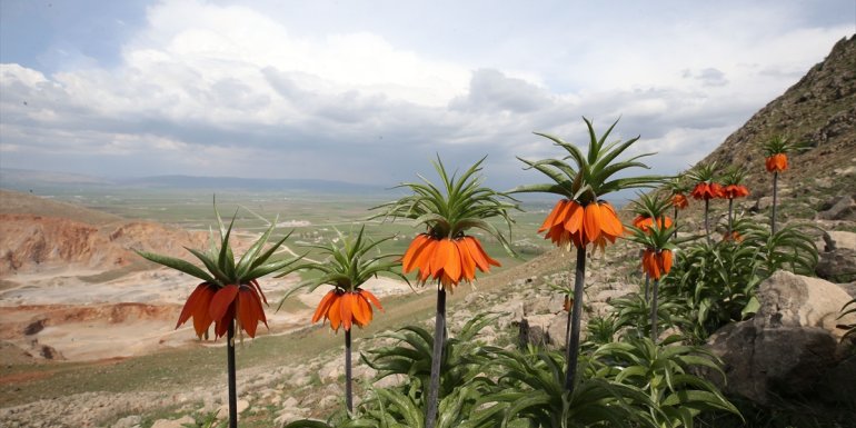 1800 rakıma "ağlayan gelin" yolculuğu