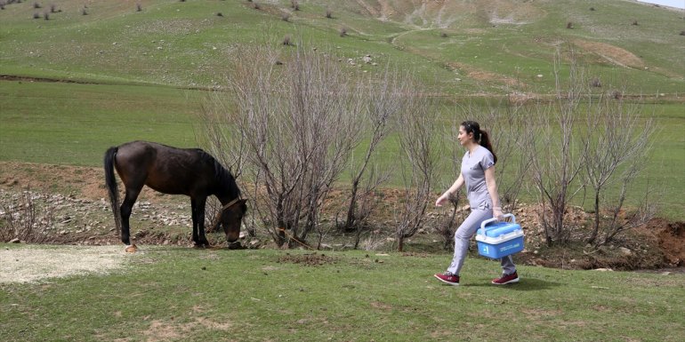 MUŞ - Kader ebe fedakarlığıyla köylülerin gönlüne taht kurdu1