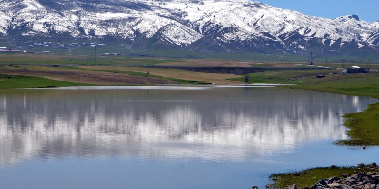 MUŞ - Yağışlarla tarım ve hayvancılık göletleri yüzde 100 doldu1