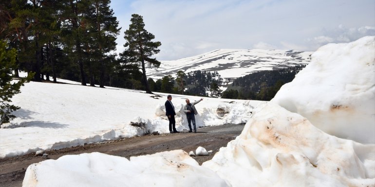 Sarıkamış'ın bir yanı kış bir yanı bahar