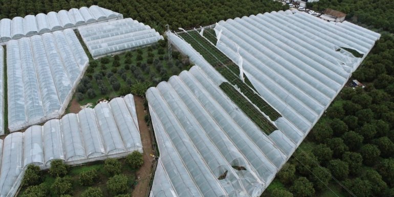 TARSİM'den sera üreticilerine 165 milyon TL hasar ödemesi