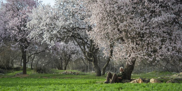 Tarihin doğayla bütünleştiği Çemişgezek'te ilkbahar güzelliği