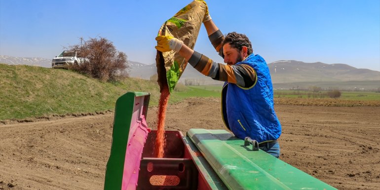 VAN - Çiftçilere dağıtılan 364 ton buğday tohumunun ekimine başlandı1