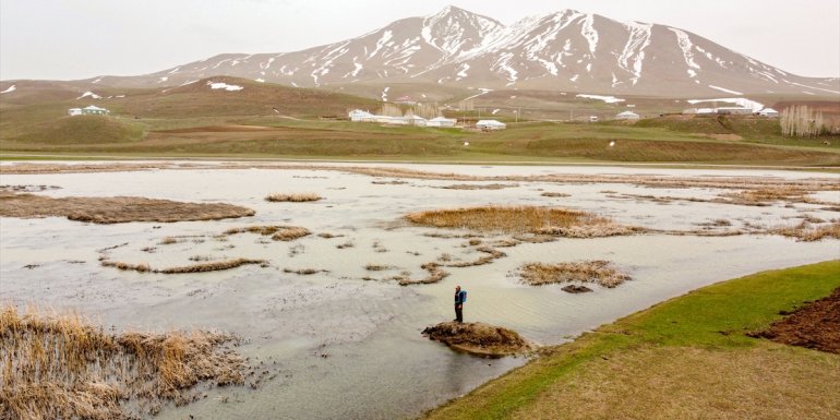 Van'daki Çırak Sazlığı göçmen kuşlara ev sahipliği yapıyor