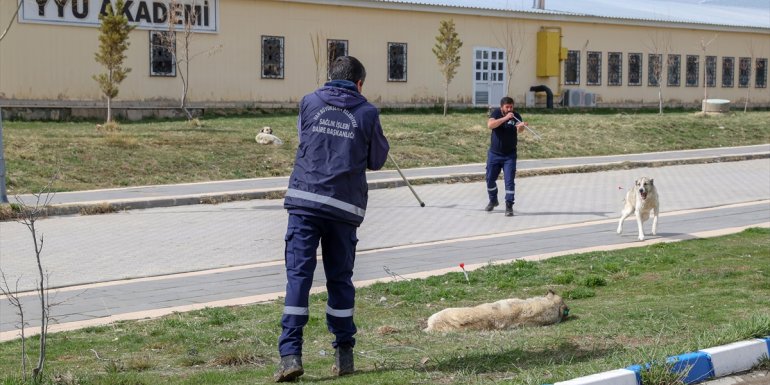 Van'da sahipsiz köpeklerin kız öğrenciye saldırması güvenlik kamerasında