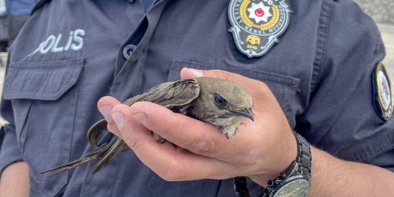 Van'da suda boğulmak üzere olan ebabili polisler kurtardı