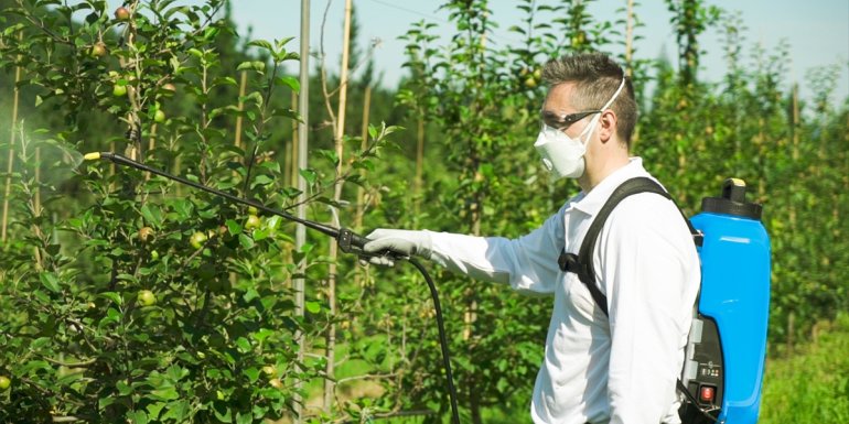 Van Tarım ve Orman Müdürü Görentaş'tan meyve üreticilerine "budama" uyarısı