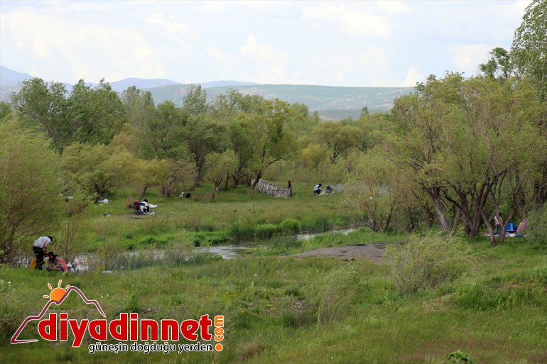 bilen alanlarını piknik Ağrı