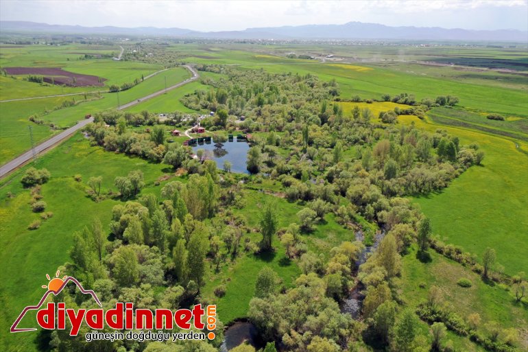 piknik alanlarını bilen sıcak Ağrı