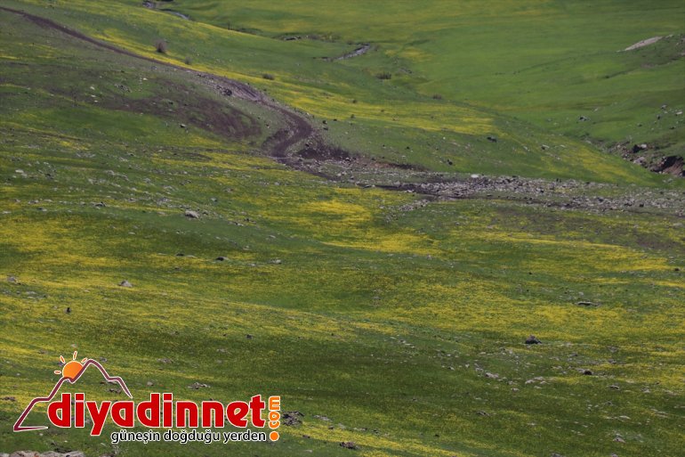 karlı mevsim Ağrı