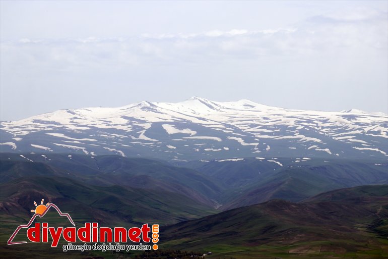 karlı iki arada Ağrı