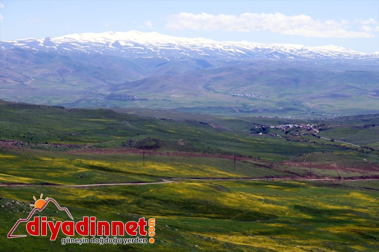 iki mevsim dağlarında Ağrı