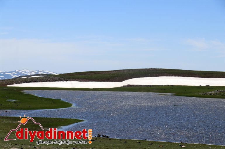 karlı yaşanıyor mevsim dağlarında arada Ağrı