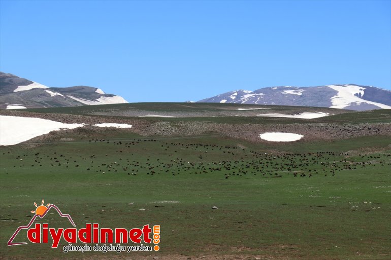 iki bir yaşanıyor Ağrı