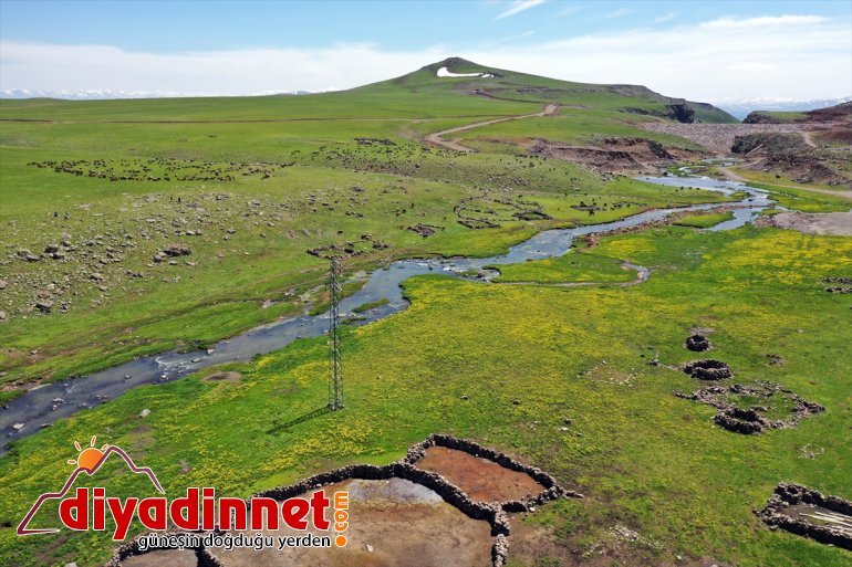 kuzu sesleriyle ve AĞRI - Sinek şenlendi Yaylası koyun 17