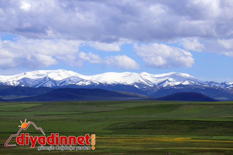 yüksek noktaları büründü beyaza son günlerinde Ağrı Kars