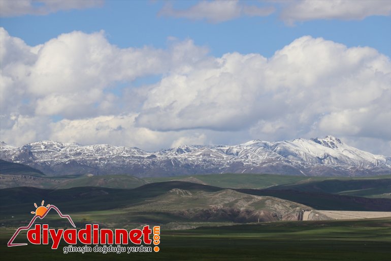 mayısın büründü Ağrı ve Kars