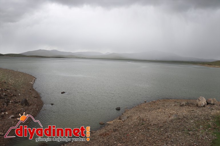 Yağmur - AĞRI yaradı bölümü ve suları, Barajı